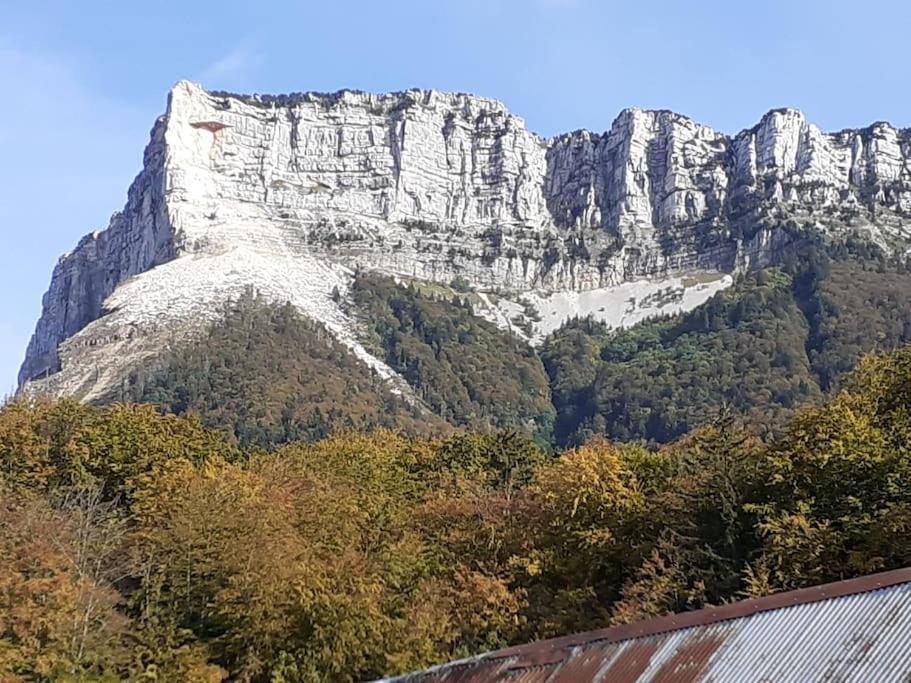 Le Loft Des Pins, Chartreuse *