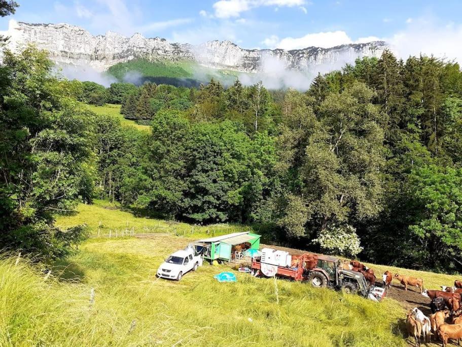 Le Loft Des Pins, Chartreuse
