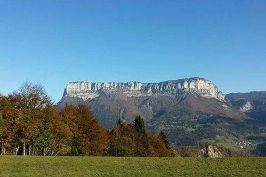 Le Loft Des Pins, Chartreuse